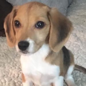 Meet your Posher, Jeanmarie